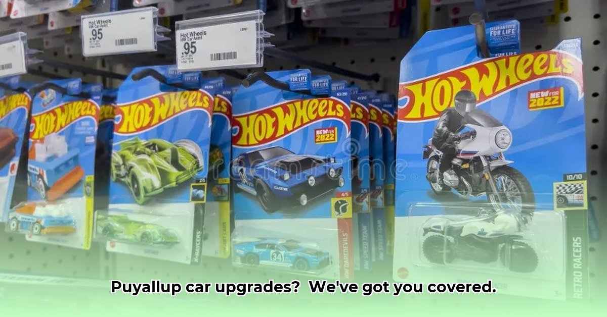 car-toys-in-puyallup-wa